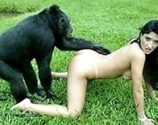Monkey Animal Porn