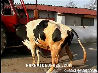 Minx sucks udder, shoves into pussy and pokes cow with fist