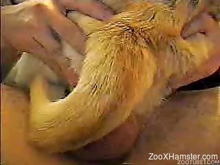 Perverted guy impales dog vagina with his big cock