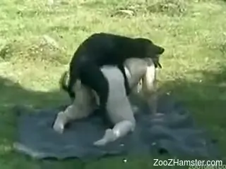 Fat old woman took dog to park and let it fuck her there