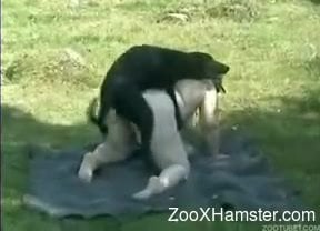 Old Woman And Dog Sex - Fat old woman took dog to park and let it fuck her there
