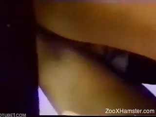 Woman has sex with dude and his dog on beach