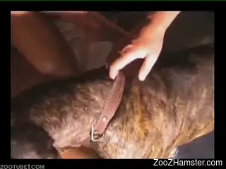 Chicks get rid of sexual tension making love to dog