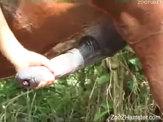 Blonde petticoat puts big cock of horse into cunt