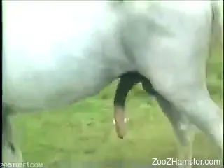 Man fucks little helpless hen with his big cock
