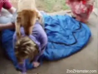 Man and his GF found quiet place to let dog fuck girl