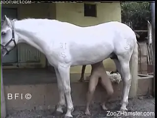 Fair woman found perfect fucker in face of white stallion