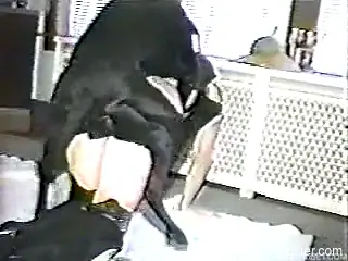Big black dog shoves grand cock into owner's cunt