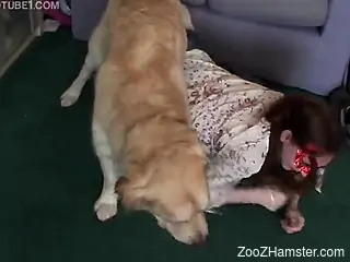 Dog helps master sexually satisfy girlfriend