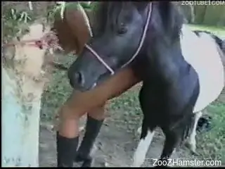 Aroused Ebony babe approached pony and started to suck his cock