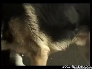 German Shepherd licks and fucks own mistress from behind