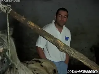 Guy watches beautyâ€™s nasty sex with horse and quickly j...