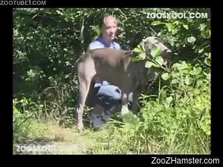 Dirty girl after walk is rewarded with petâ€™s penis in p...