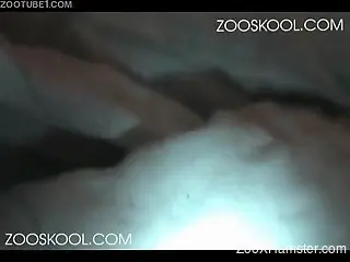 Amateur chickâ€™s sex with dog is filmed from close distance