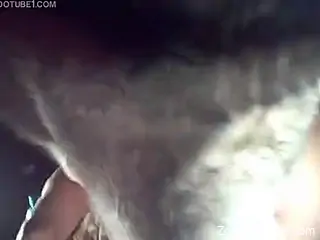 Husky climbs on big-boobied blonde and fucks her in doggystyle