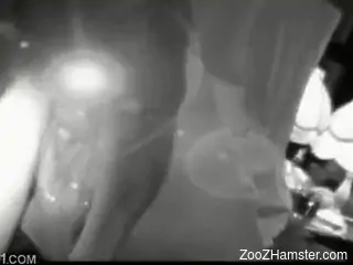 Homemade sex clip where dog penetrates his nasty mistress