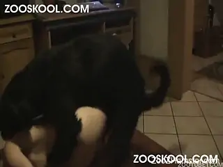 Crazy home zoophilia along a tight ass bitch