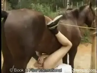 Woman gets the horse penis right up the butt hole