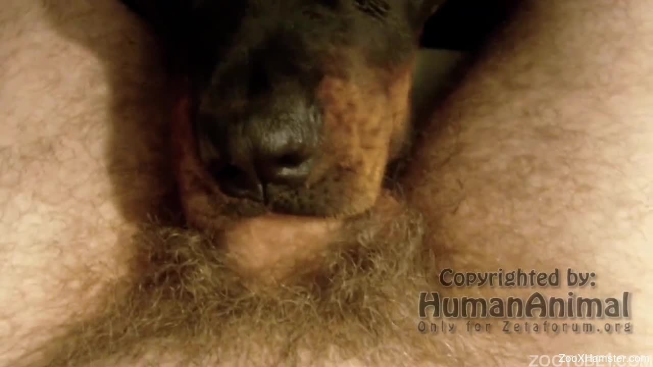 Porn dog deepthroat Deepthroat Videos