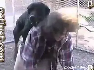 Dog gets the single greatest blowjob of its entire life