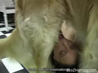 Beautiful babes team up to suck this shaggy dog's cock