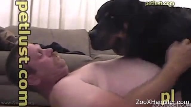 Chubby older guy is totally gay for this big-dicked dog