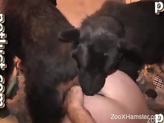 Submissive dog really enjoys fucking this dude's tight ass