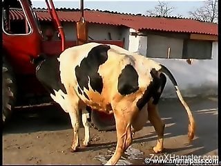 Outdoors fun with a sexy-looking cow, tons of milking here
