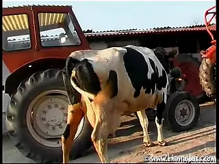 Outdoors fun with a sexy-looking cow, tons of milking here
