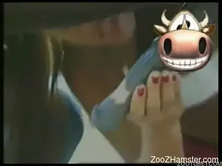 Exotic hotties going crazy all over this horse's dick