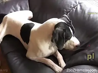 Submissive-looking twink gets doggy style drilled on the floor