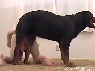 Dick-sucking zoophile man pleases his angry as fuck doggy