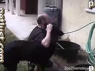 Black doggy nailed a horny owner in ass to ass pose