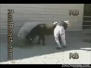Farm girl with beautiful body gives her pony a passionate rimjob