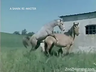 Sexy cow with awesome ass gets fucked in doggy style by farmer