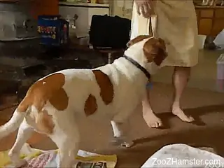 Man takes off towel and turns ass to dog to enjoy asslicking