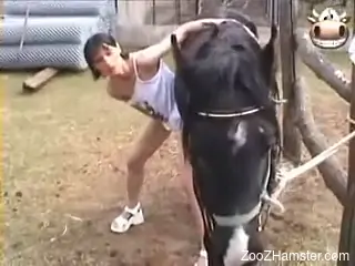 Black horse receives blowjob from young brunette