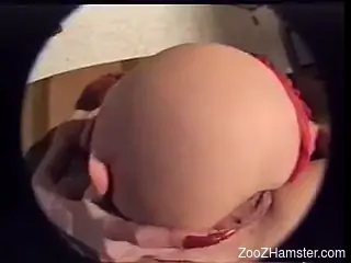 Nasty dog porn zoophilia in POV during vintage XXX