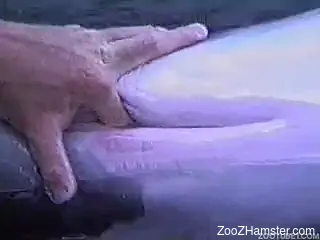 Outdoor sea porn with man finger fucking a dolphin