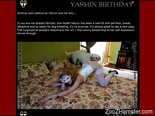 Doggy style animal porn XXX showing women enduring sex