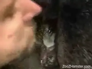 Furry scenes of dog porn in animal sex tape with a horny man