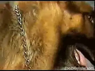 Horny woman craves to suck dog penis before zoo sex