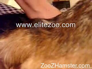 Passionate dude fisting and fingering his animal's tight hole