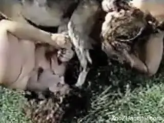 Passionate gay couple finds a really HORNY goat to fuck