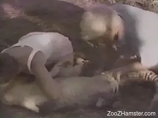Ð¡rocodile Porn