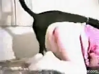 Black dog destroys a pale chick's pussy in this retro zoo vid