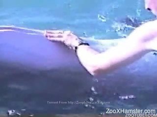 Dude casually seducing a really hot-looking dolphin on cam