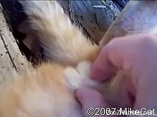 Shameless zoophile dude playing around with his pussy's pussy