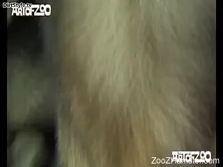 Long-legged brunette enjoys ruthless sex with a dog
