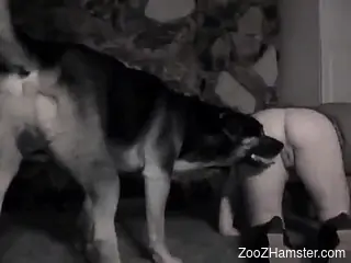 Blond-haired housewife licked by a dog before sex